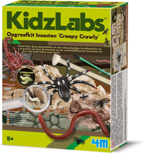4 m großes Grabset – Insekten – Wissenschaft und Spiel – Biologie – gruseliges Krabbeltier – Kidzlabs – 5+