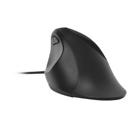 Maus Kensington Pro Fit k75403eu