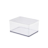 Rotho Loft-Aufbewahrungsbox 2,25l weiß