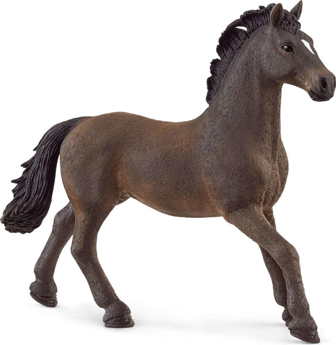 Schlich Horse Club Oldenburger Hengst 13946