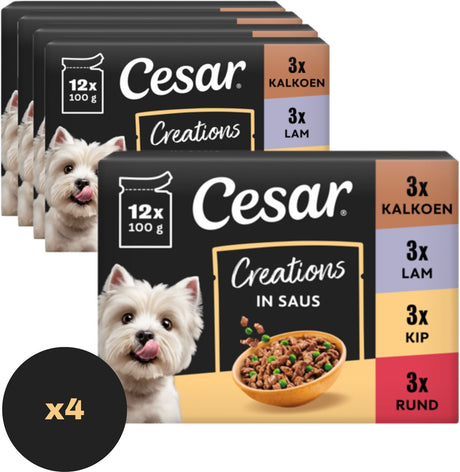 Cesar Hundefutter – Mischungsauswahl in Soße – Mahlzeitbeutel – 48 x 100 g