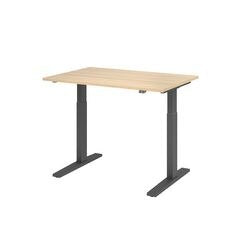 Bach zit-sta-bureau hammerer vxmka12 e g multikleur 1200 x 800 mm