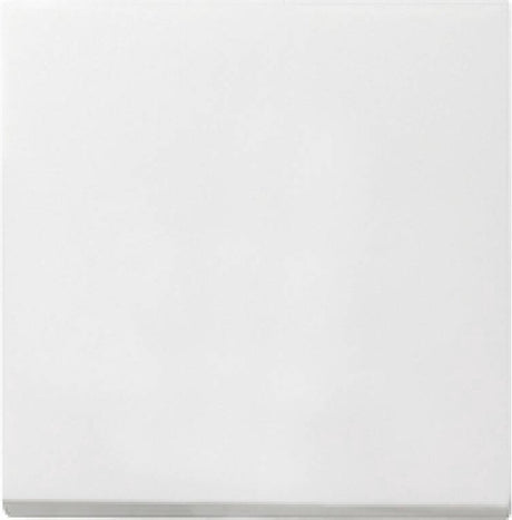 Gira systeem 55 besturingselement centrale plaat schakelmateriaal - 029627 - e29dr