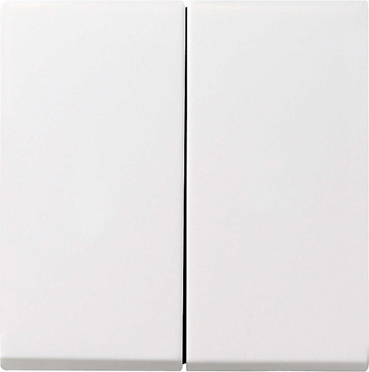 Gira systeem 55 besturingselement centrale plaat schakelmateriaal - 029527 - e29du