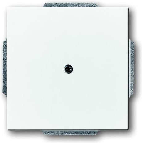 Busch-Jaeger ABB Future Solo Bedienelement Zentralplatte Schaltanlage – 2cka001710a3161 – e2eyd