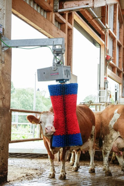 Produkte Happycow Kuhbürste Maxiswing