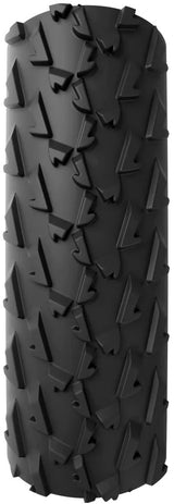 Vittoria a.dugast Small Bird C33-622 TLR Faltreifen