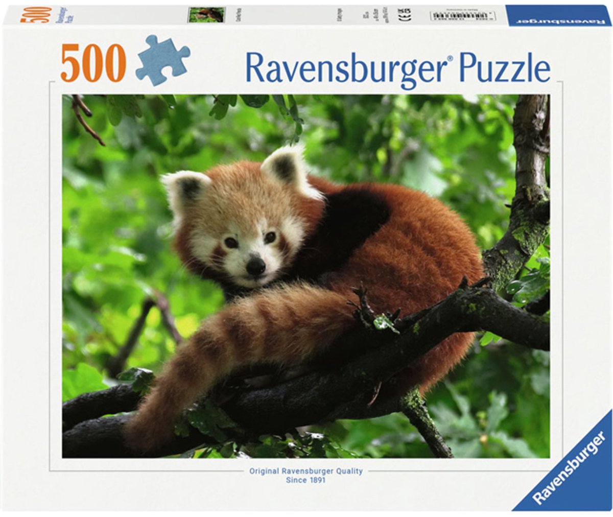 Ravensburger Puzzle Roter Panda – 500 Teile Tiere.