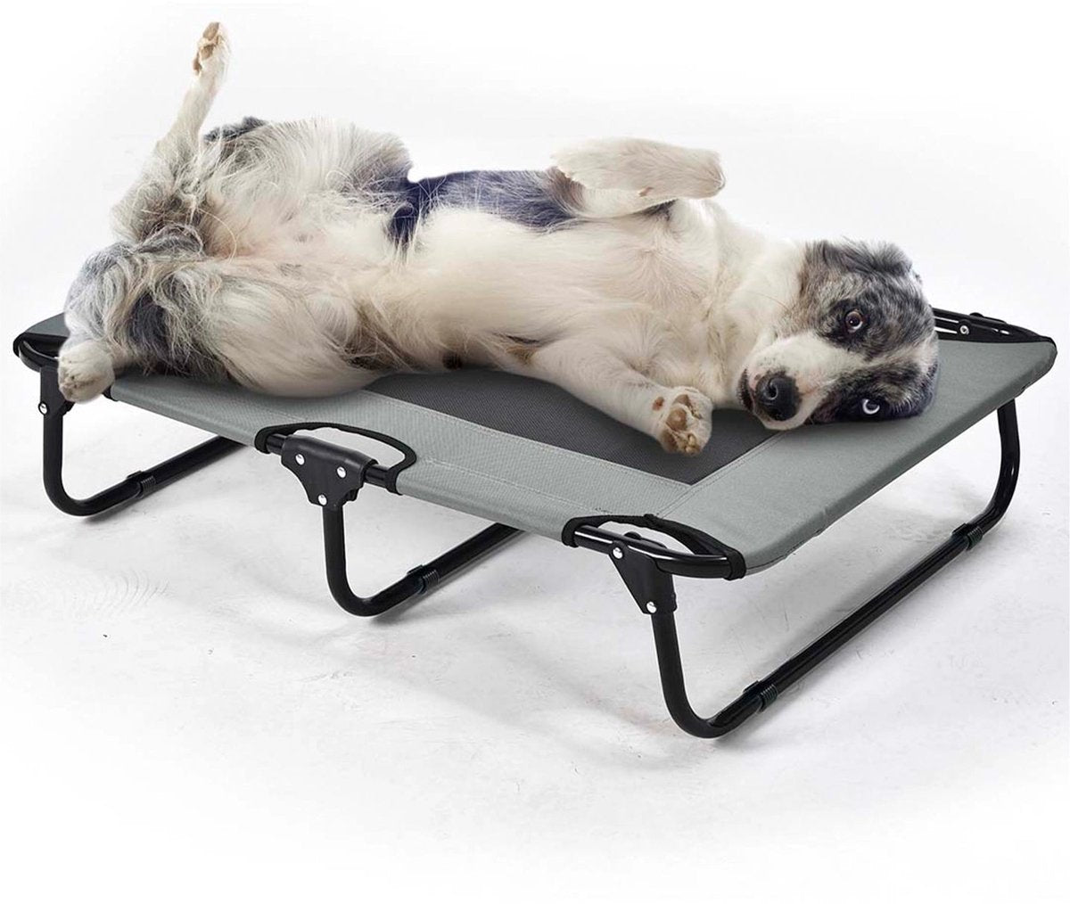 Duvo plus faltbares Hundebett Relax - l