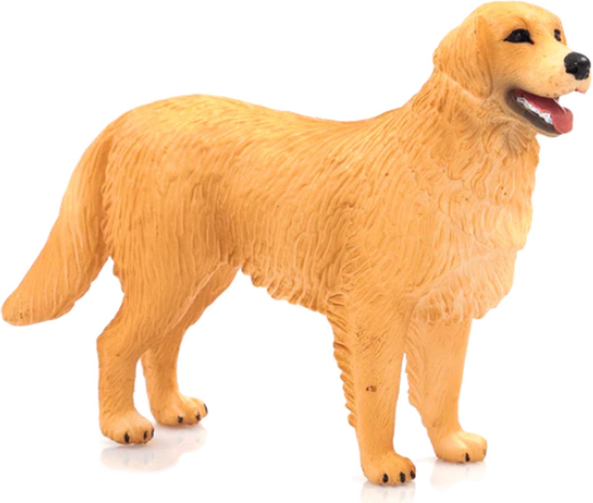 Mojo Farmland Golden Retriever – 387198