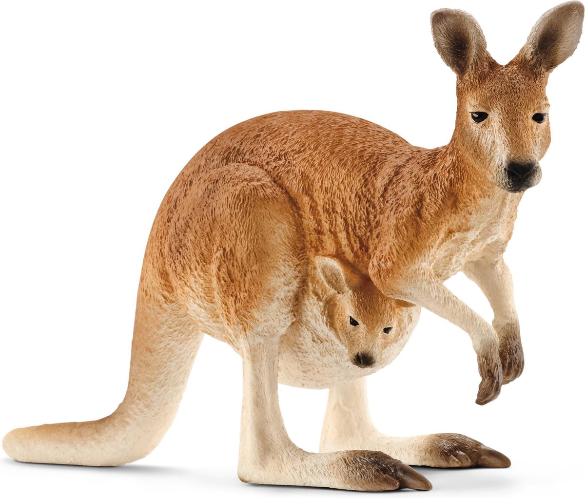 Schleich Wild Life – Känguru – Spielfigur – Kinderspielzeug für Jungen und Mädchen – 3 bis 8 Jahre – 14756