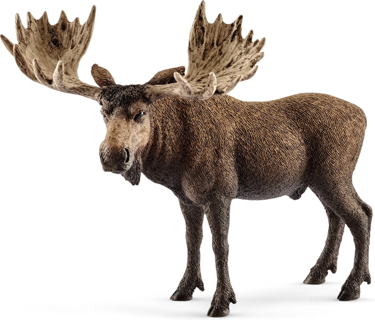 Schleich Wild Life – Elchbulle – Spielfigur – Kinderspielzeug für Jungen und Mädchen – 3 bis 8 Jahre – 14781