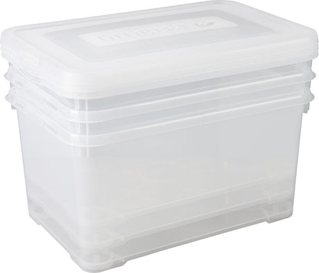 Curver Allibert praktische Aufbewahrungsbox – 3 x 50 Liter – 3er-Set – transparent