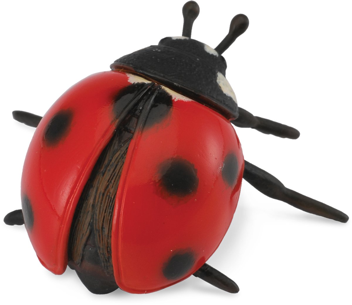 Collecta Figur - Marienkäfer - (m) - Insekten - handbemalt - Miniatur