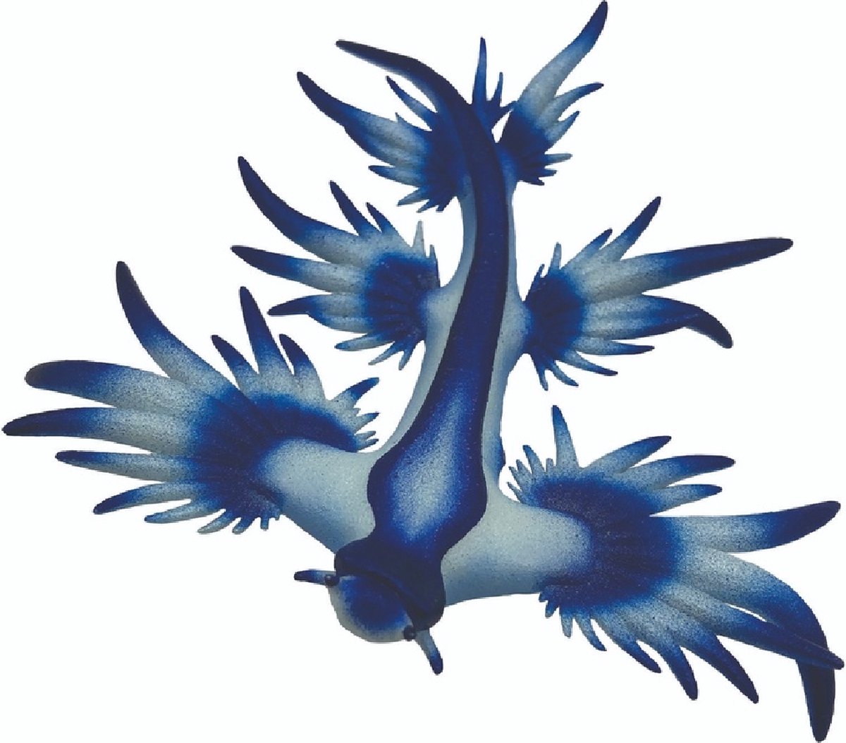 Bullyland 67511 – Spiel- und Sammelfigur blaue Meeresschnecke – ca. 4 cm – lebensechte und detaillierte Gestaltung – ideal als lehrreiche Spielfigur und kleines Geschenk für Kinder ab 3 Jahren.