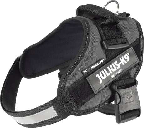 Julius K9 Julius-K9 IDC®Power-Geschirr, M – Größe 0, Anthrazit