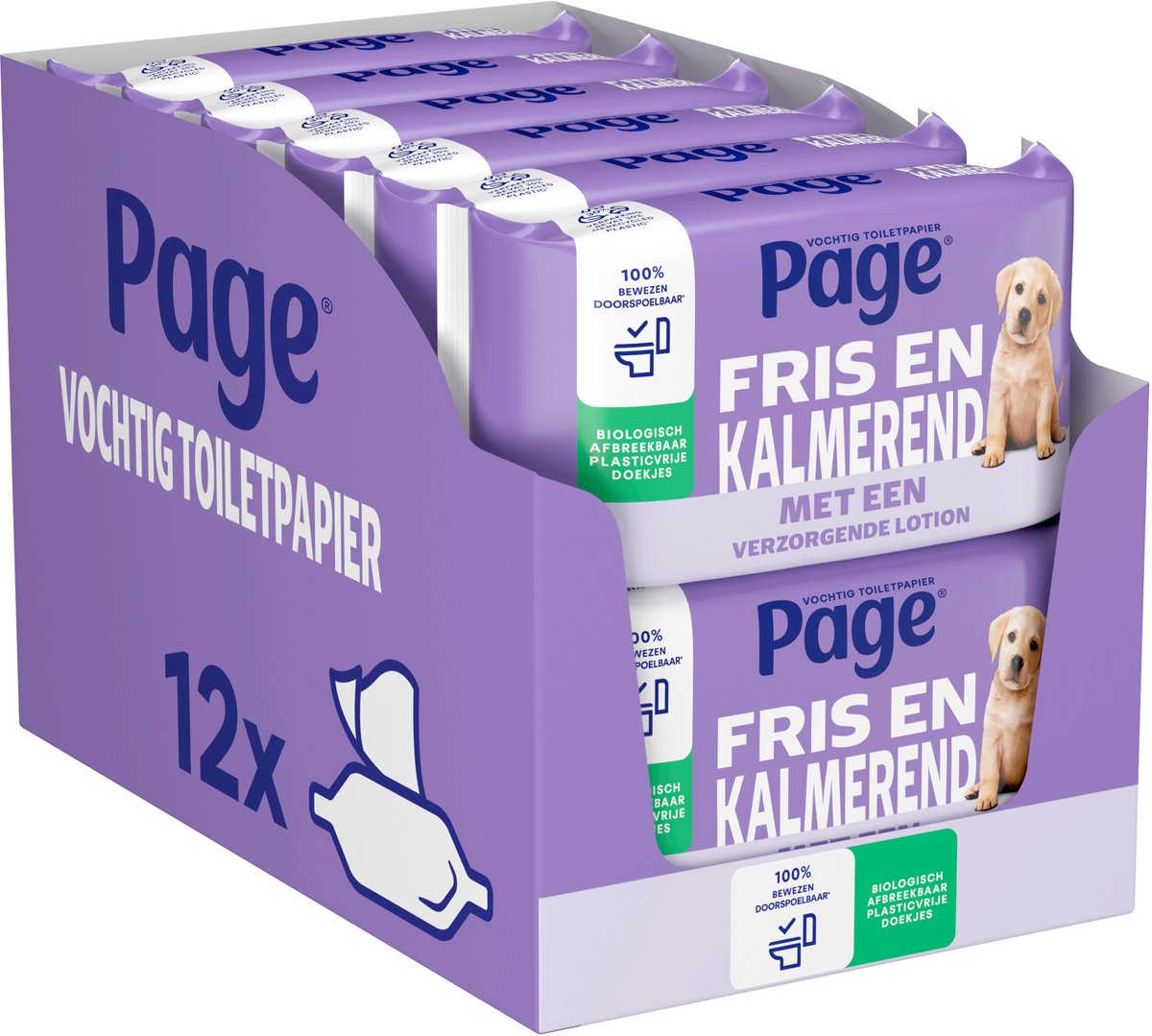 Page ® feuchtes Toilettenpapier – frisch und wohltuend (Pflege) – mit pflegender Lotion – 456 Blatt – 12 x 38 Stück – Vorteilspack