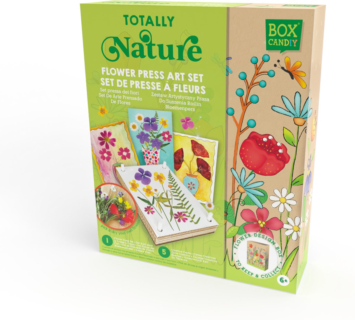 Box Candy Flower Press Lernspielzeug aus mehrfarbigem Kunststoff.
