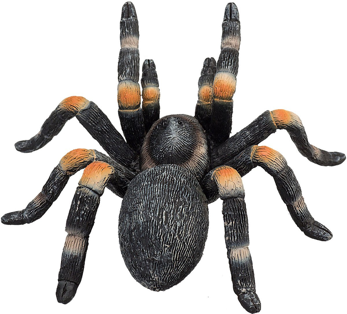Mojo Wildlife Rote Vogelspinne – 387213