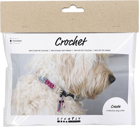 Kreativunternehmen https: www.cchobby.nl mini-hobbyset-crochet-hondenhalsband-1-doos