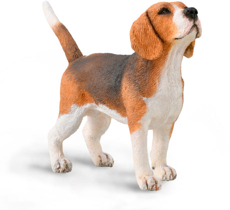 Collecta Figur - Beagle - (m) - Hunde - handbemalt - Miniatur