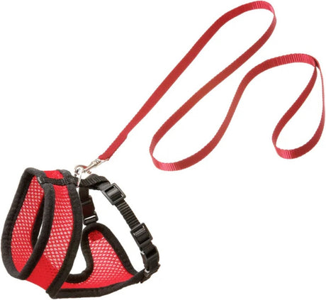 Flamingo-Geschirr mit Laufleine für Kätzchenhunde – rot schwarz – geeignet für Europäisch Kurzhaar, Ragdoll, Maine Coon – 28 cm Brustumfang