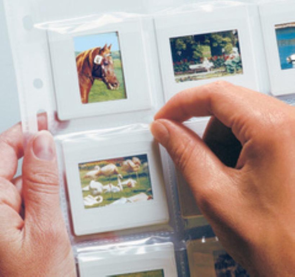 4008705076982