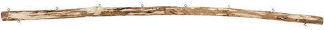 Creativ Firmenpräsentationsstab, L: 60 cm, T 15-20 mm, 1 Stück