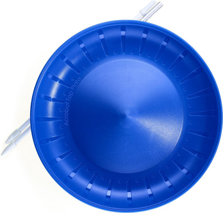 Acrobat-Balancierbrett mit Stock – blau