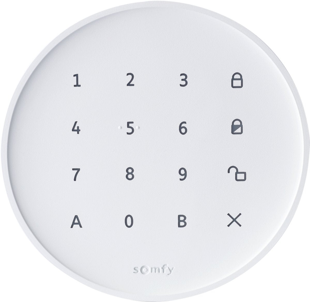 Somfy Home Alarm Essential Keypad – Zahlencode zum Ein- und Ausschalten der Funkalarmanlage – Sie erhalten eine Benachrichtigung, wenn der Code verwendet wird