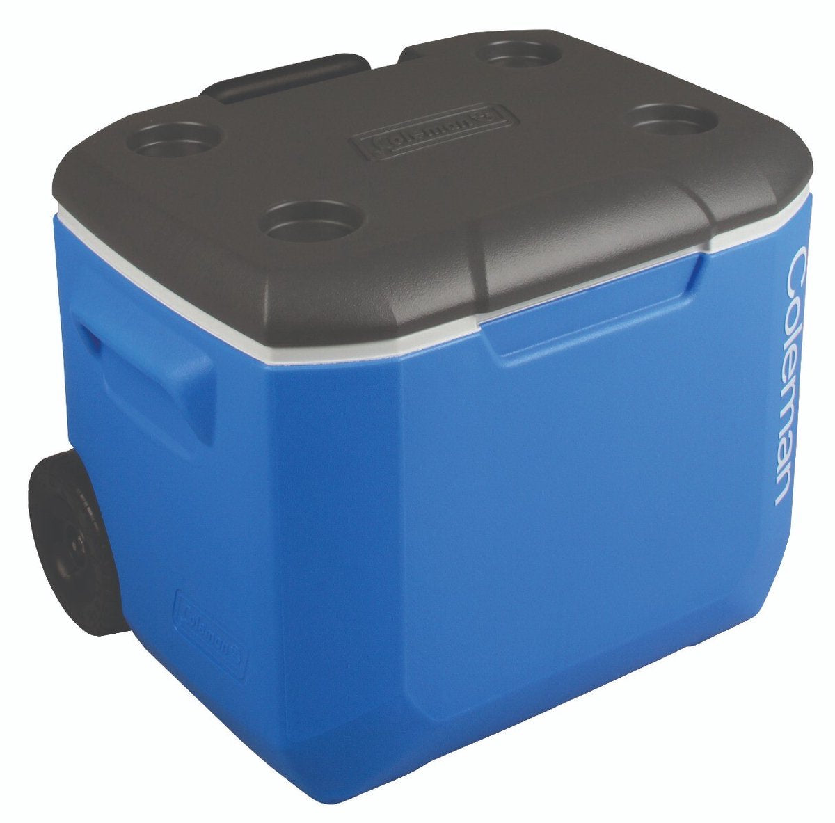 Coleman 60QT Rolled Performance Tricolor Koelbox