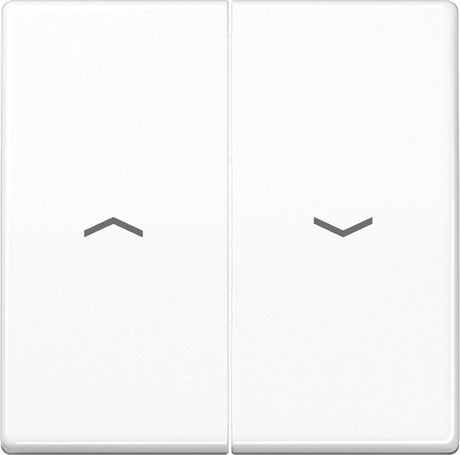 Jung AS500 Schaltelement Zentralplatte – AS591-5PWW – E32R4