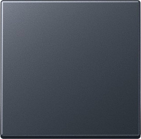 Jung Bedienelement Zentralplattenschaltanlage - A590bfanm - E365a