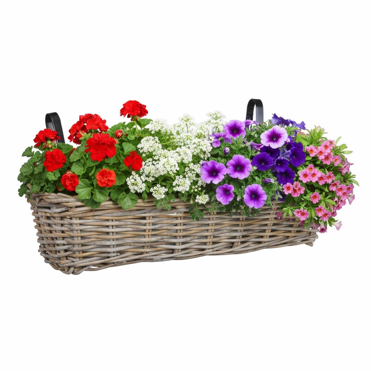 Mica decorations hangmand voor planten - 60 x 19 x 15 cm - gevlochten - hangende railing plantenbak - beugels