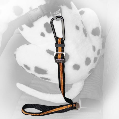 Kurgo Direct to Seatbelt Tether – Sicherheitsgurt für Sicherheitsgurthalter – klicken und fertig – sicher unterwegs – Orange oder Blau – Schwarz-Orange