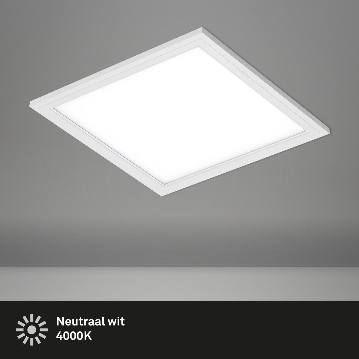 Briloner schlicht – LED-Deckenleuchte – Deckenleuchten-Panel – neutralweißes Licht 4.000 K – 1.300 lm – 12 W – 29,5 x 29,5 cm – weiß