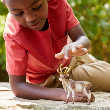 Schleich Wild Life – Rentier – Spielfigur – Kinderspielzeug für Jungen und Mädchen – 3 bis 8 Jahre – 14837