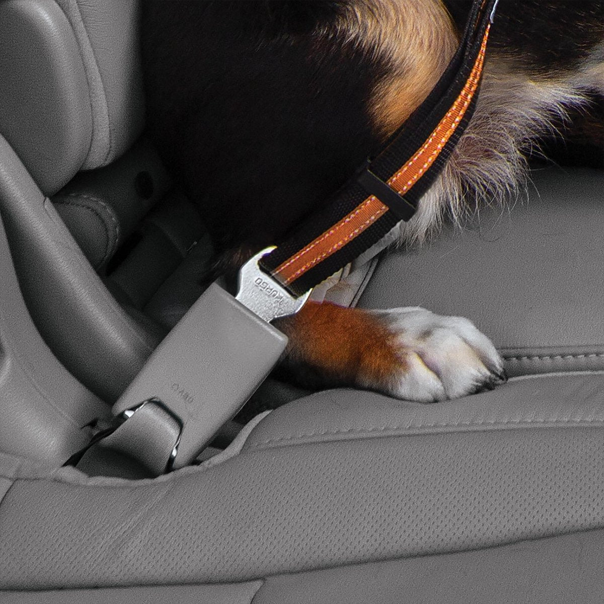 Kurgo Hunde-Sicherheitsgurtschlaufe – Sicherheitsgurt mit Karabiner – passt an jeden Autogurt – Schwarzgrau