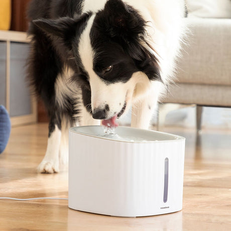Innovagoods Trinkbrunnen für Haustiere drinkatt