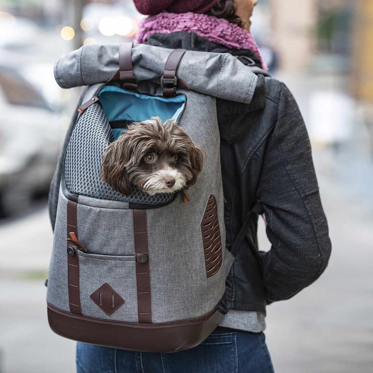 Kurgo Rucksack grau braun