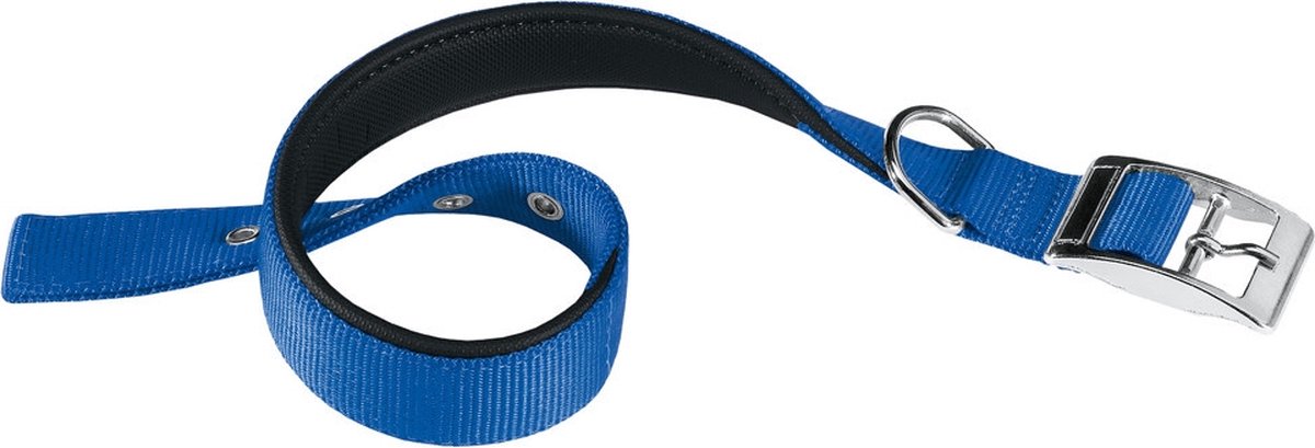 Ferplast Hundehalsband Daytona 43 x 2 cm Stahl Nylon blau