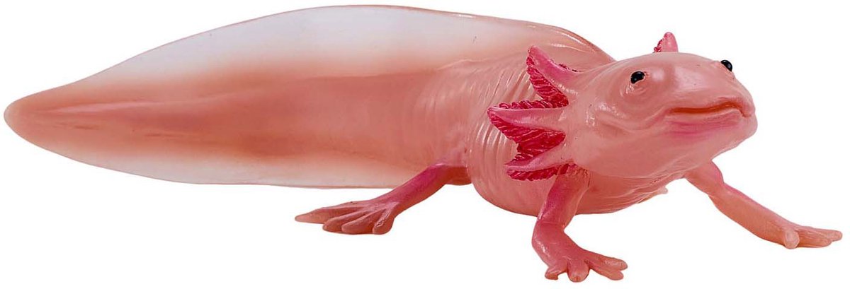 Mojo Wildtier Axolotl 381108
