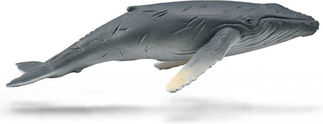 Collecta figurine - bultrug walviskalf - (m) - zeedieren - handgeschilderd - miniatuur