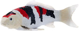 Mojo Sealife Koi-Karpfen – Showa Sanshoku Koi – 381103