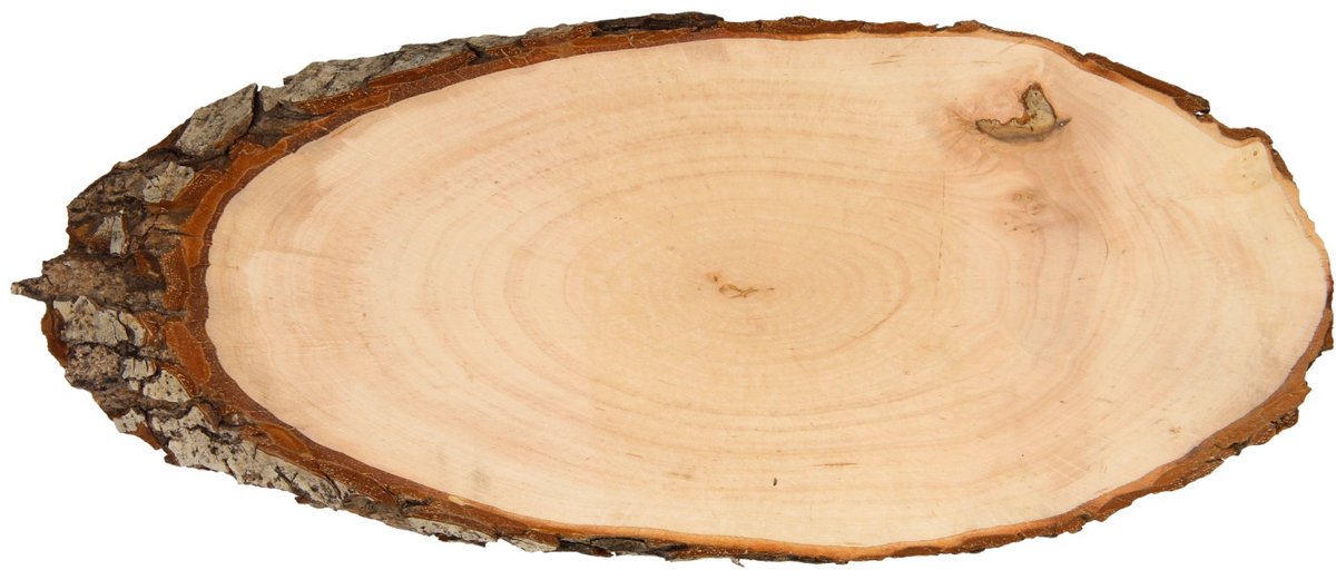 Playwood Namensschild aus Holz, Baumrinde, 30 cm, kreatives Spielzeug.