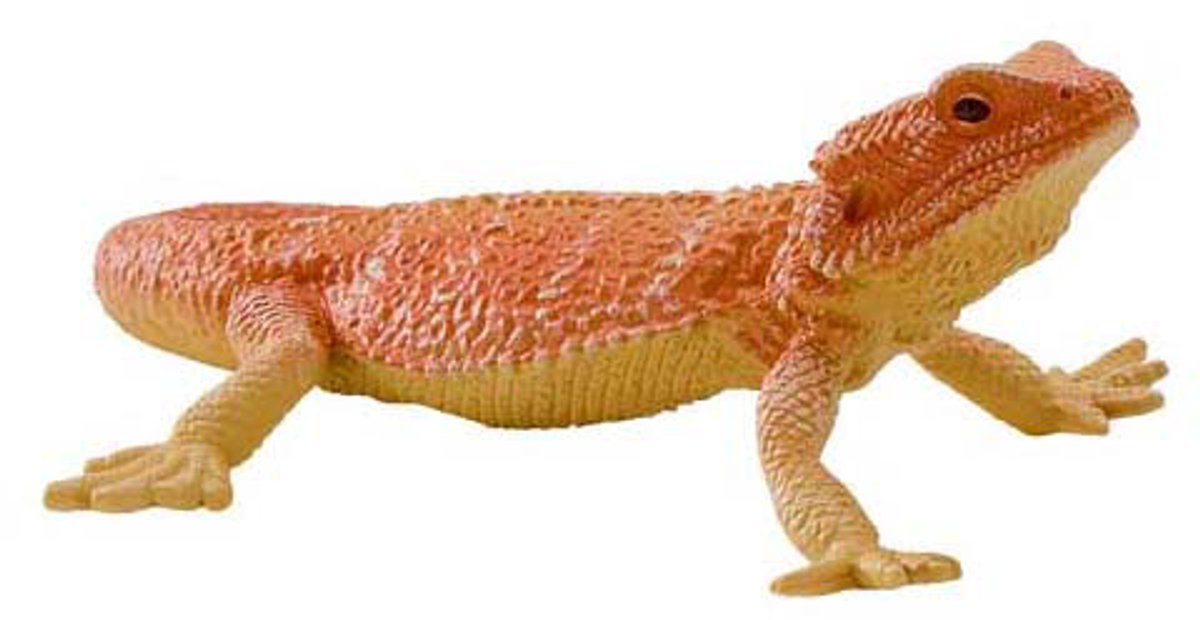 Mojo Wildlife Bartagamen – 381096