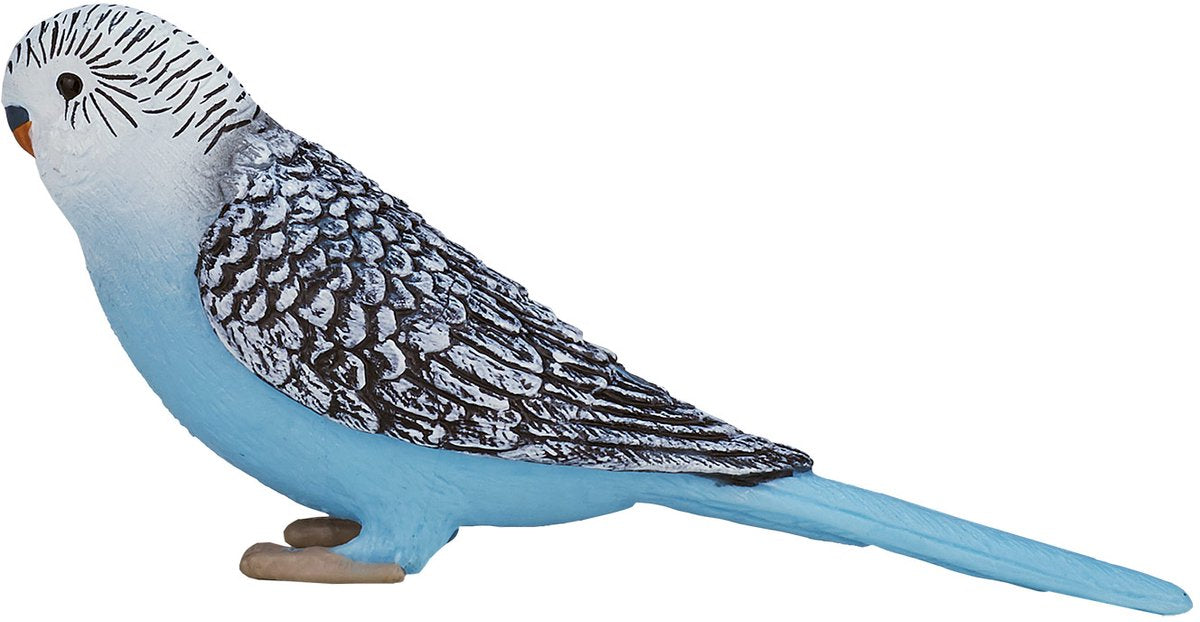 Mojo Ackerland Wellensittich blau - 387292