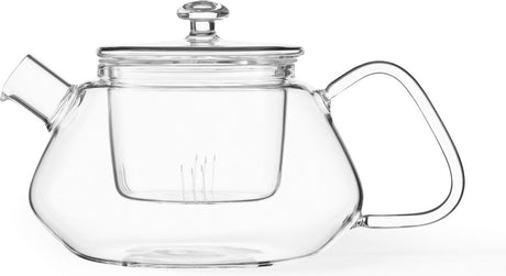 Viva scandinavia nicola teekanne – glas – inkl. filter – 770 ml – transparent