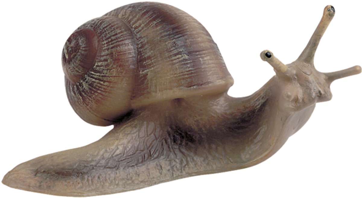 Bullyland 64375 – Spielfigur und V 64375 – Spielfigur und Sammelfigur Weinbergschnecke – ca. 3 cm – lebensecht und detailreich – ideal als lehrreiche Spielfigur und kleines Geschenk für Kinder ab 3 Jahren.