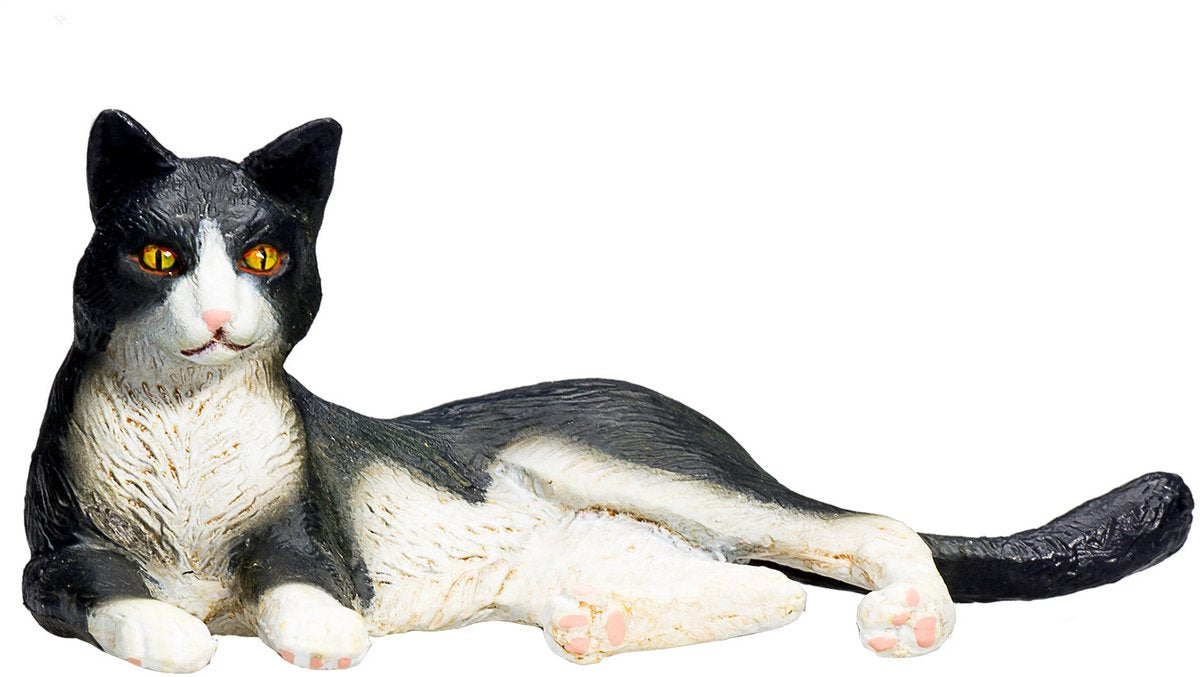 Mojo Ackerland liegende Katze schwarz und weiß – 387367